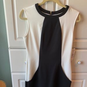Sharagano Ivory & Black dress with pockets